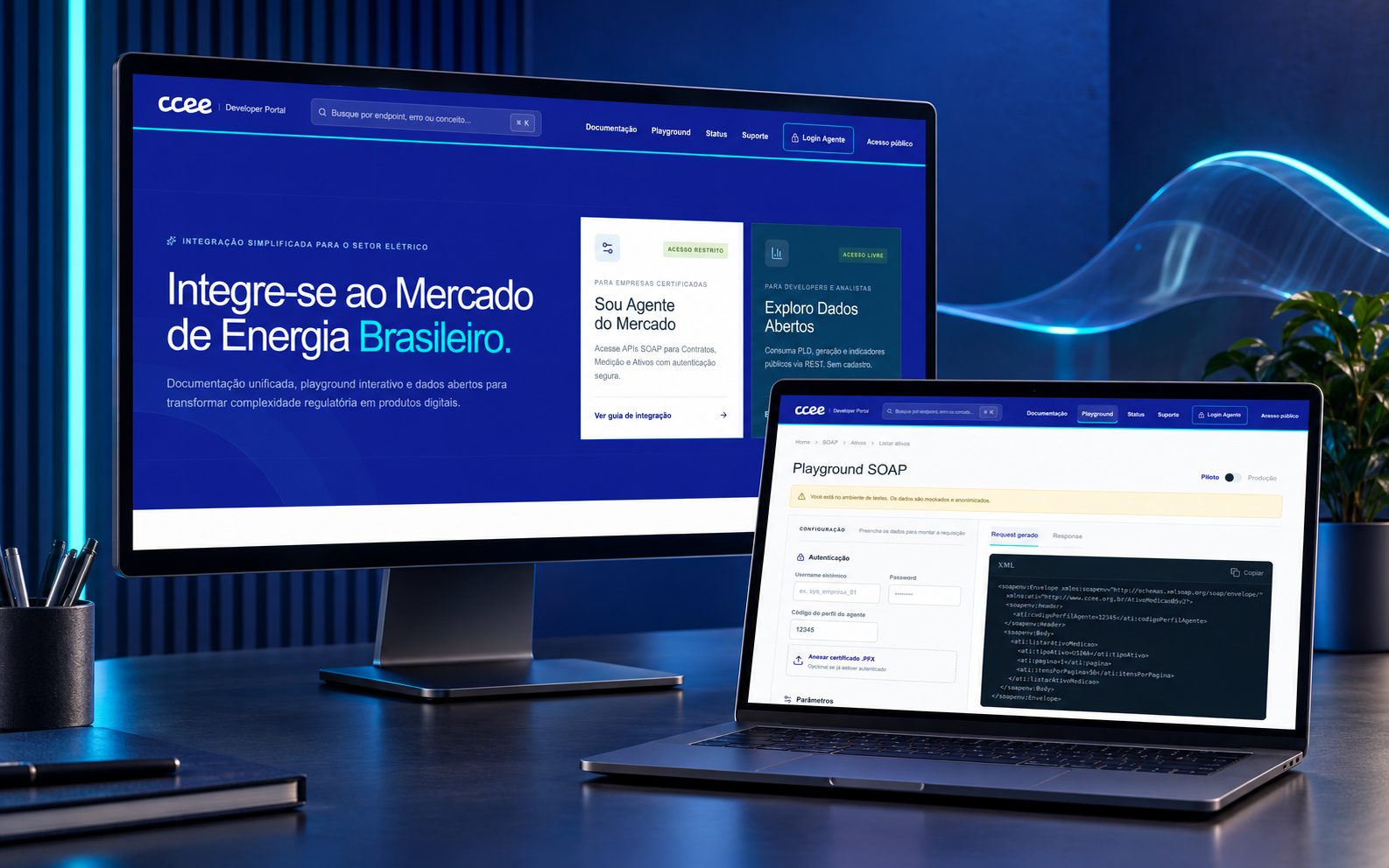 DevPortal CCEE Interface